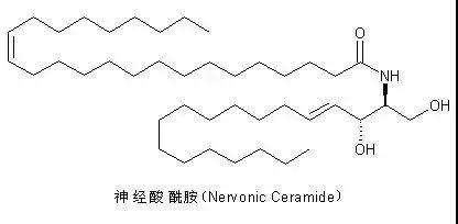 妙手回春的聖品神經酰胺和美白界的槓把子煙酰胺究竟有啥區別