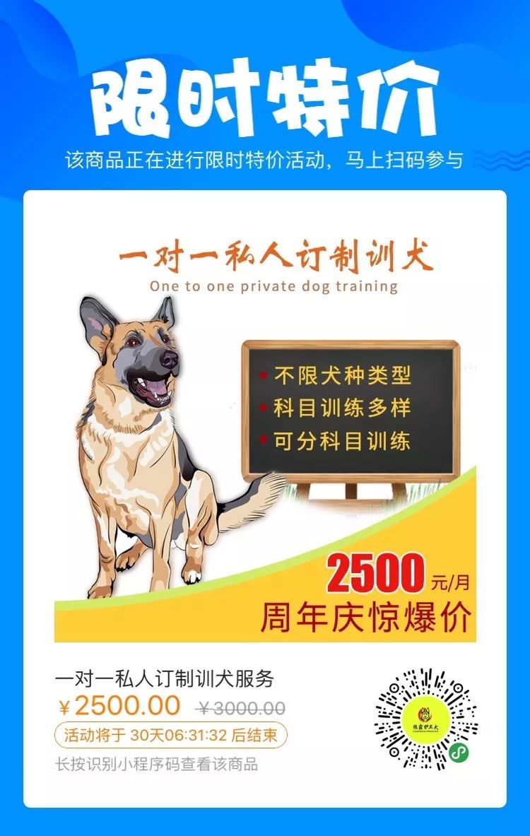 训犬师资格证书图片