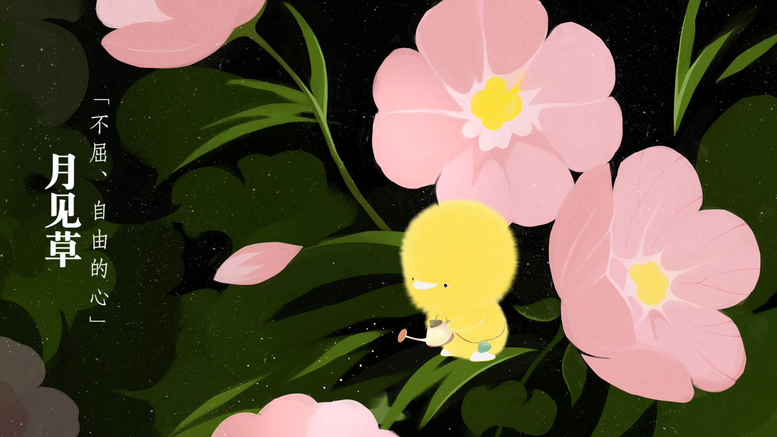 小鸡彩虹早知道