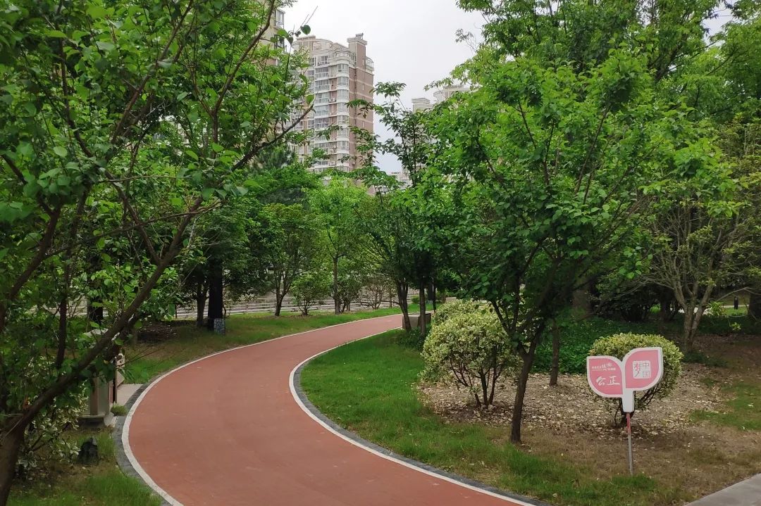 【魔都最美步道】美丽乡村 和谐自然 金山35条健身步道等你来!_休闲