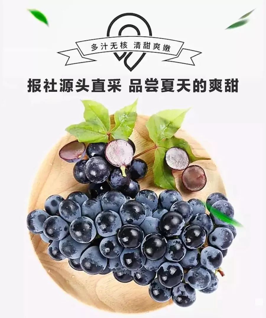 55块8抢5斤秦村夏黑葡萄,这么贵还这么多人抢!第一批周四到货!