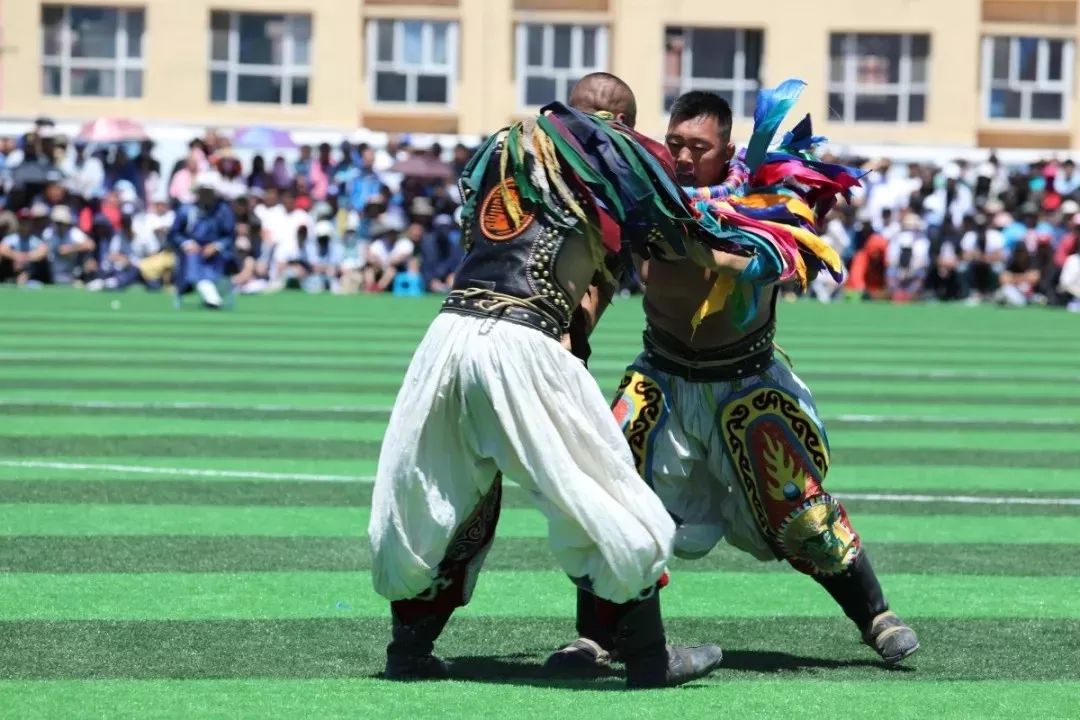 锡林郭勒盟第十四届搏克排位赛在镶黄旗举行_比赛
