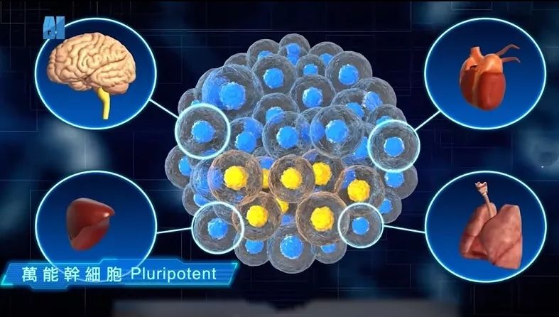 创说第109期 | 干细胞再生,打造人类2.0版