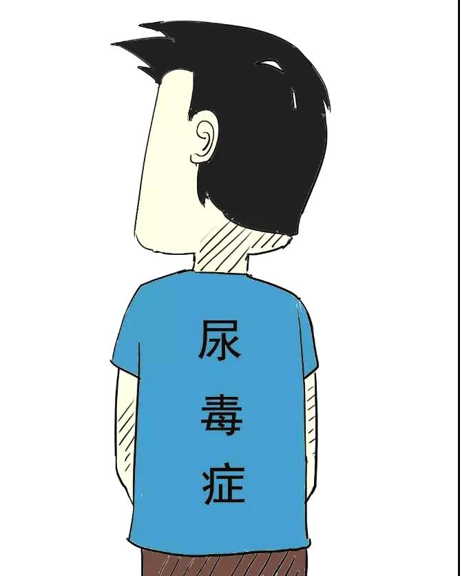 肌酐高一定尿毒症别被骗了早重视这4点对肾功能更有利