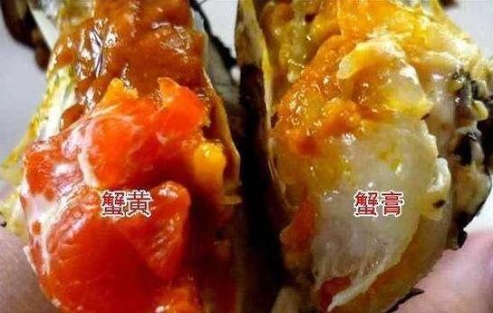 原创吃了20年螃蟹才知道蟹黄和蟹膏的区别这些年都白吃了