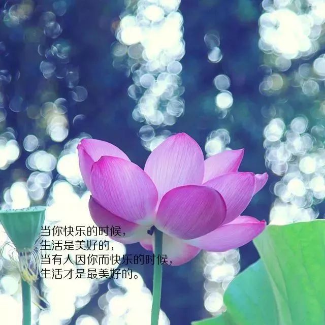 微信里非常流行的一句话心情短语句句美好越看越喜欢