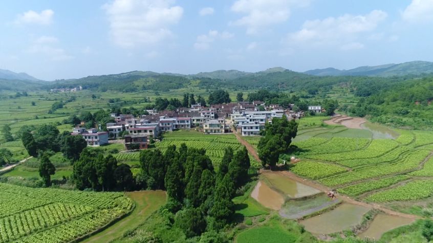 今天七一为这位发挥先锋模范作用为民办实事的基层党员点赞