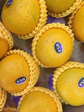 澳洲研发甜心柚诞生