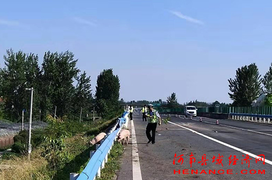 骄阳似火高速路 交警"智擒二师兄"_马永久