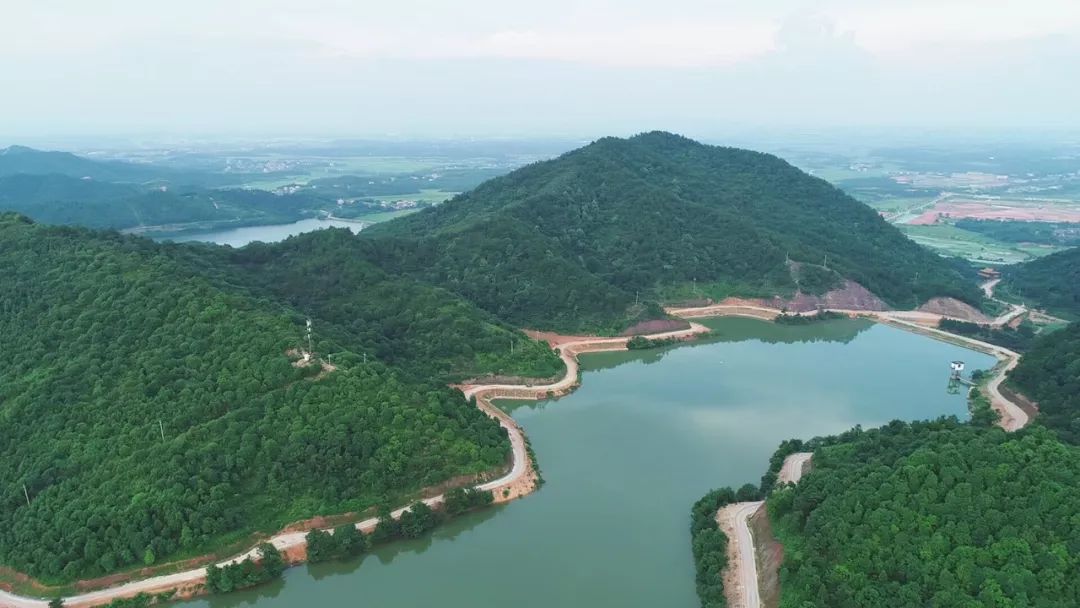 抚州青莲山简介图片