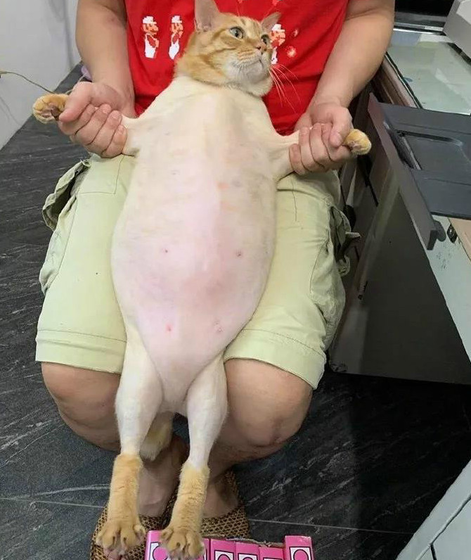 搞笑gif出差住酒店女同事总爱这么玩