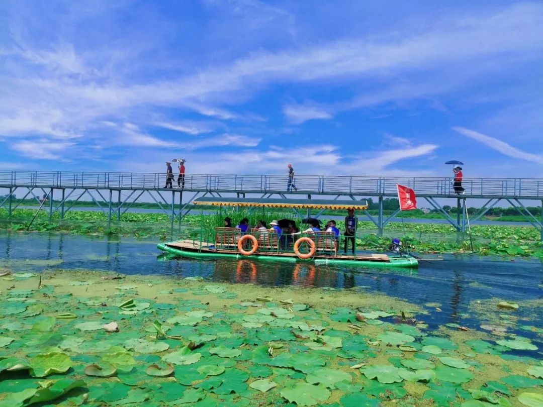 清泉旅游洪湖瞿家湾老街云雾湖风景区一日游