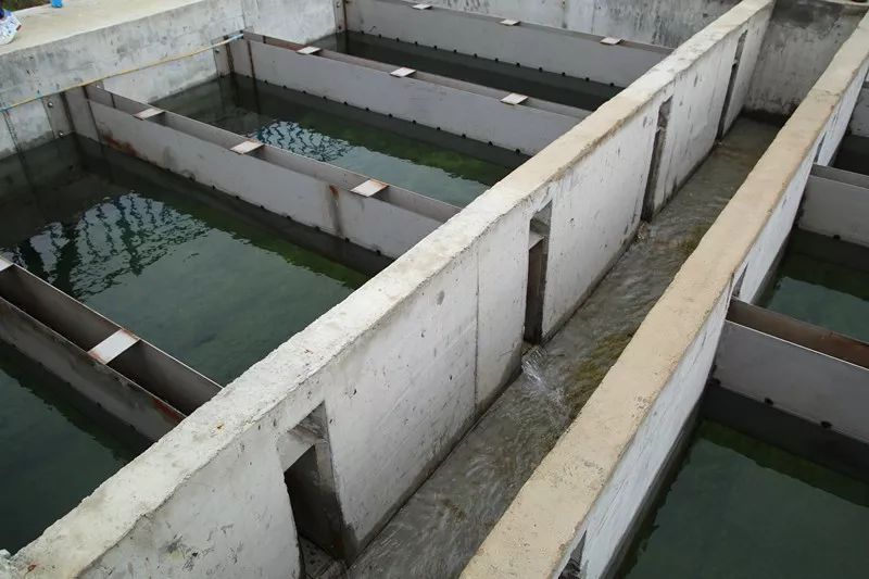 孝昌107个重点贫困村全部通自来水,农村自来水普及率达92.97%!