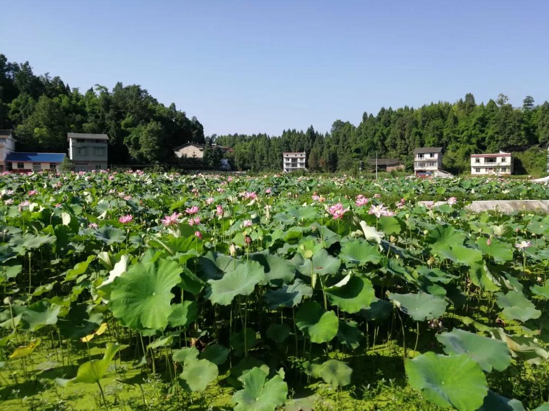 四川南充:这里的乡镇热闹非凡,山村风景秀丽,是你家乡吗?