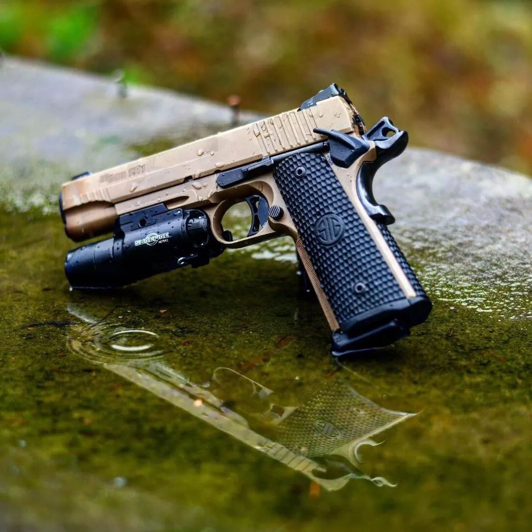 sigsauer手枪图集别人家的枪为神马就那么好看