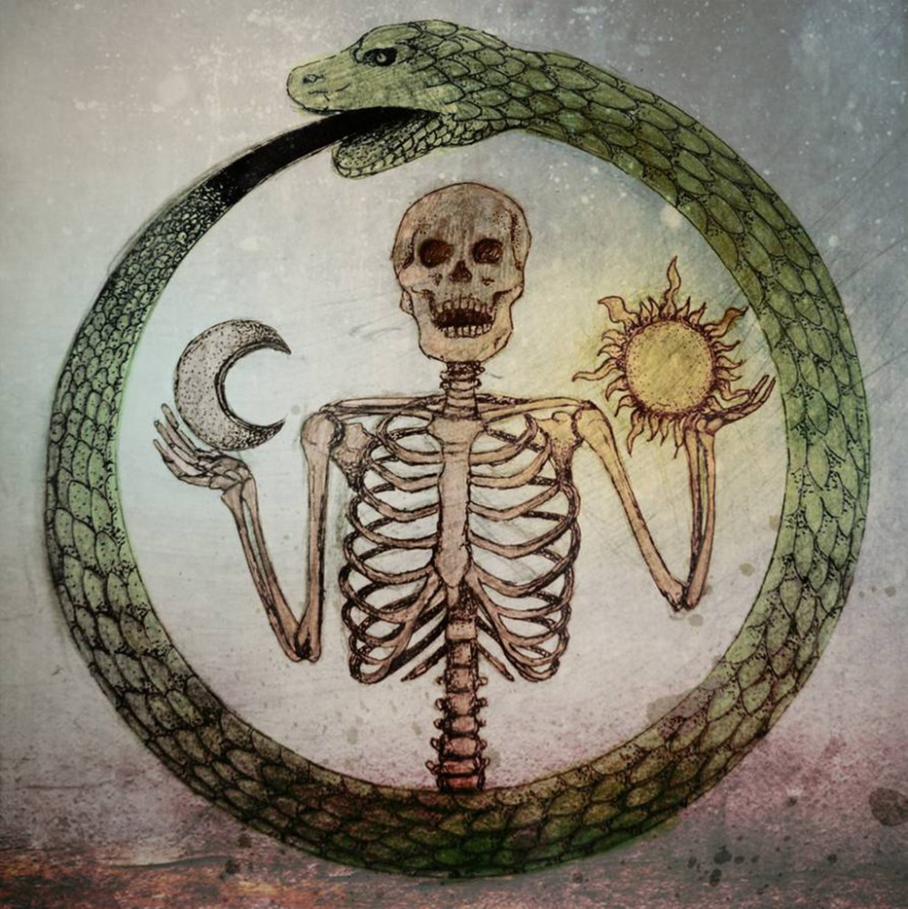 "贪吃蛇"如果玩出真火,会吃掉自己的下半身,够凶狠