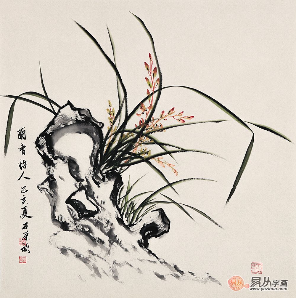 当代擅长画兰花的画家,名家画兰花图片大全,板桥兰花(第5页)_大山谷图库