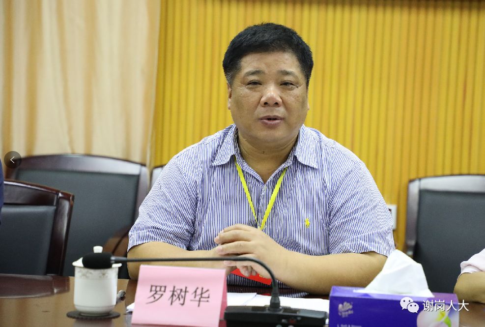 镇街人大谢岗人大组织人大代表视察防汛工作