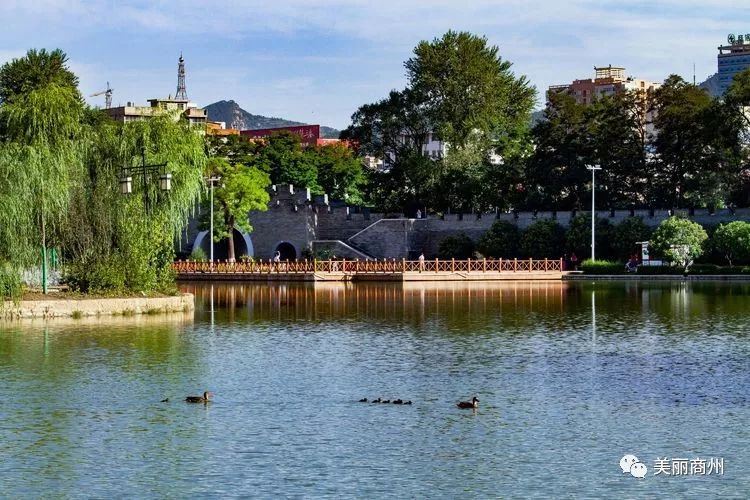 【影像商州】莲湖美景醉游人_莲湖公园