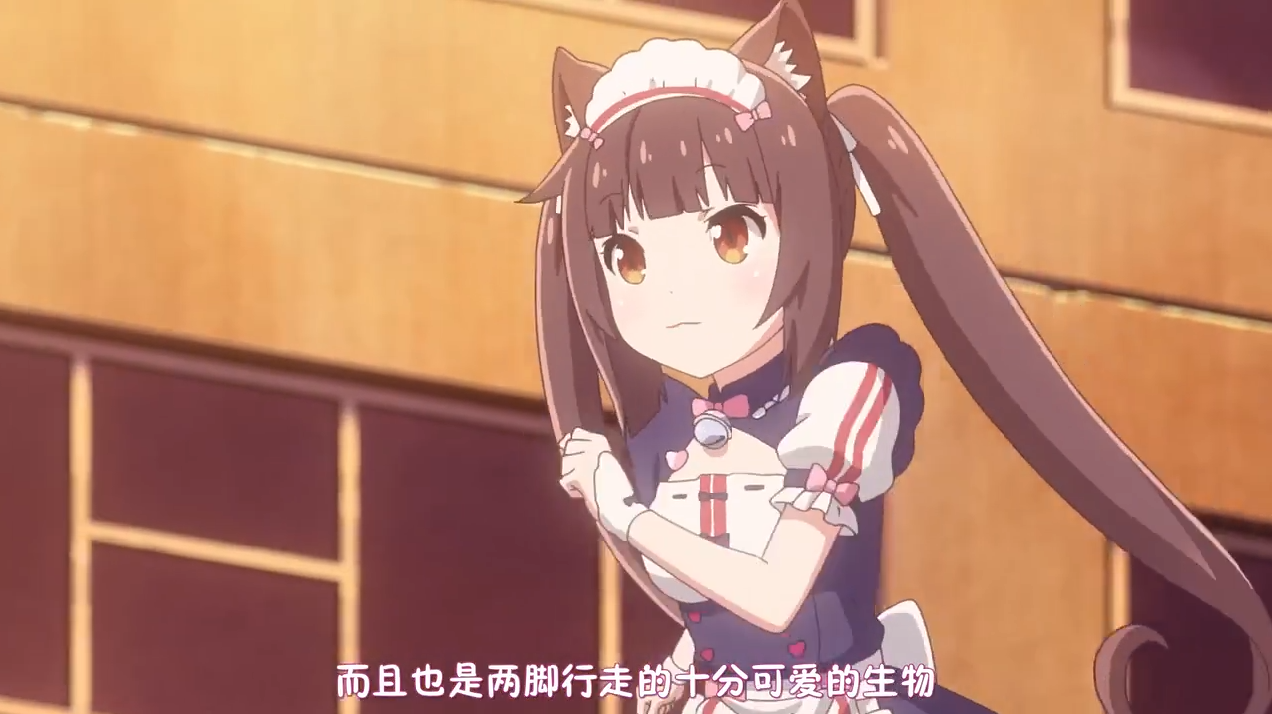 巧克力与香子兰tv动画化决定温暖人心的猫娘喜剧