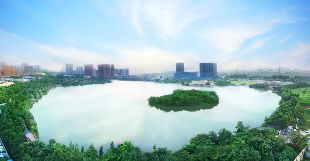 佛山新港停运一河两岸美景瞩目升级