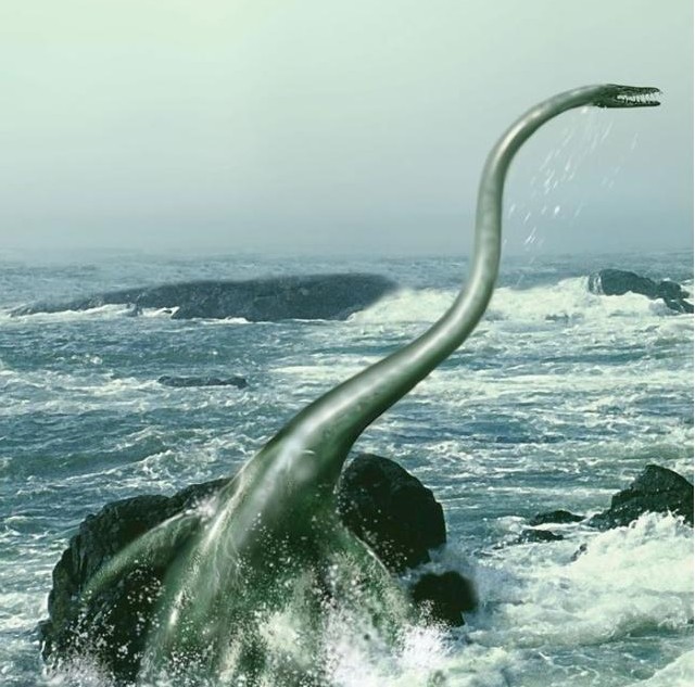 尼斯湖水怪应该就属于蛇颈龙类,只是不知道为什么同时代的恐龙灭绝后