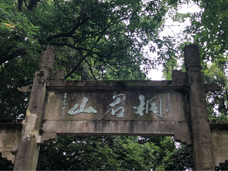 不约云野而择桐行山水相依江南秀神州风韵剪中来