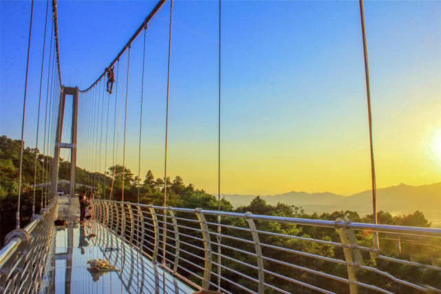 绿水竹林玻璃桥佛山有个香格里拉为街坊开启夏日清凉之旅