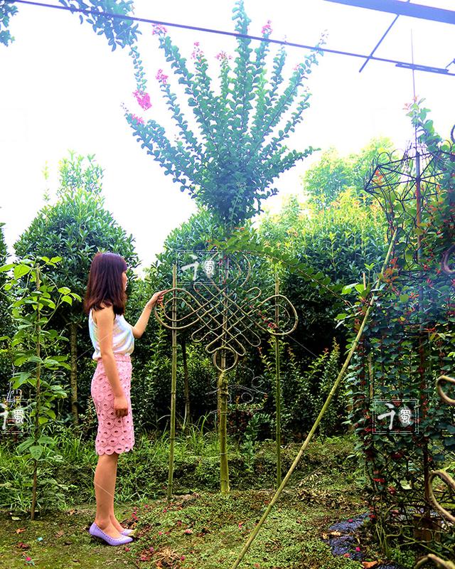 紫薇树编织的中国结,你见过吗_造型