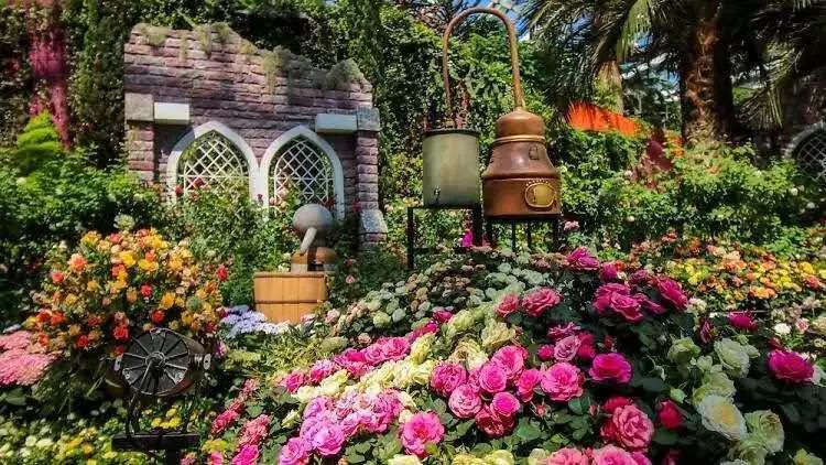 这次展出集合了"安妮公主"等四十多种世界各地罕见的玫瑰品种,每种