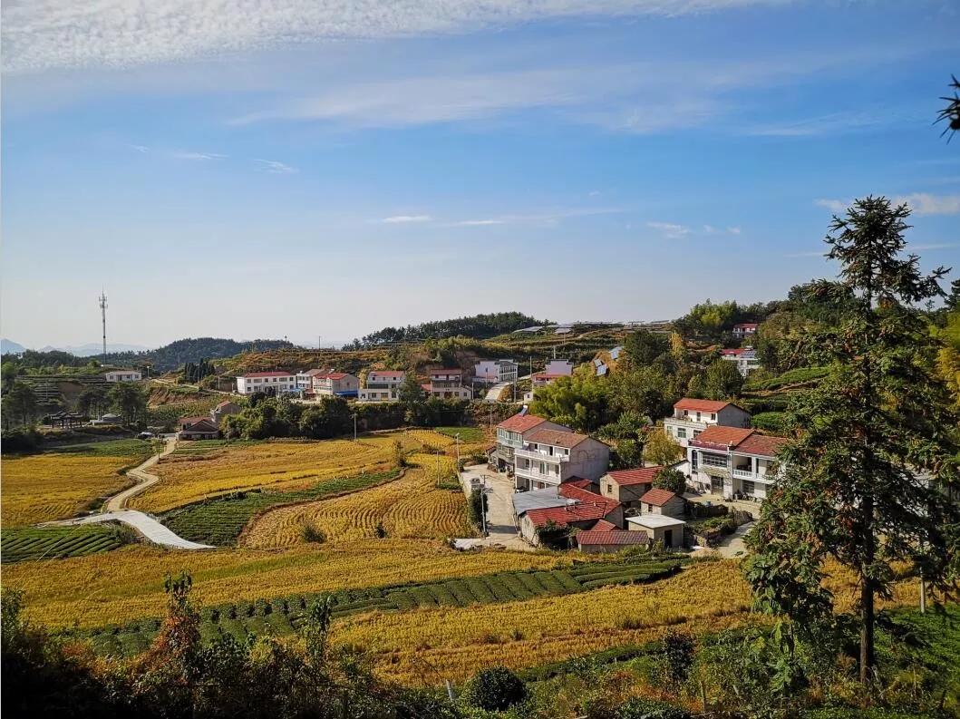 【今日英山】王家界村悄然蝶变旧貌换新颜