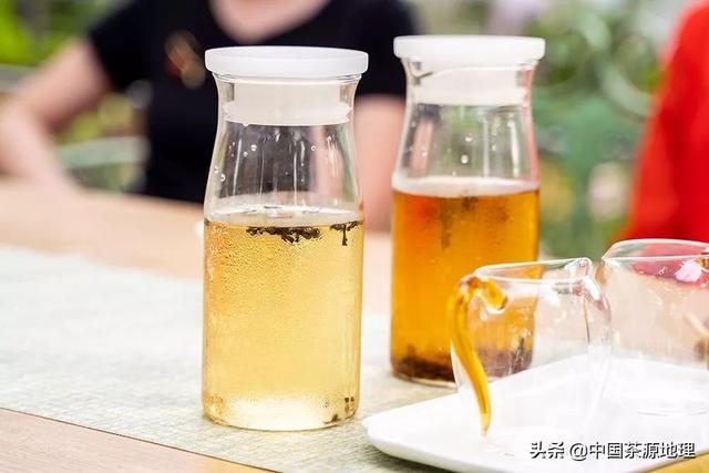 茶知识什么是冷泡茶