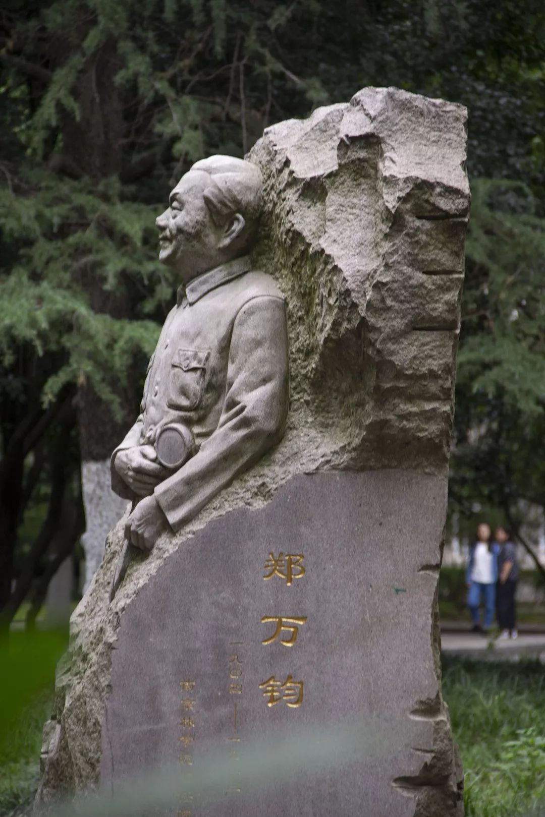 林业工程和林学获评a+风景园林学获评a