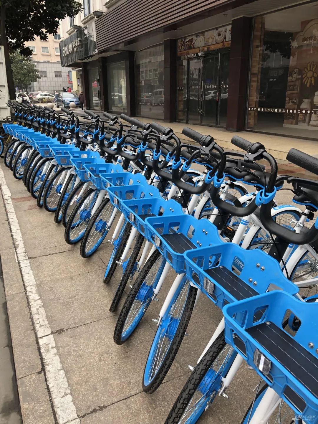 重磅哈啰共享单车进驻丹阳免押金免费骑行首批400辆