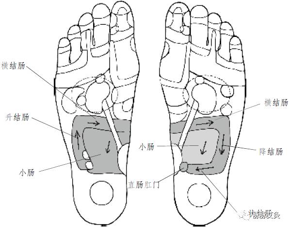 点点肚脐,治疗陈年老便秘