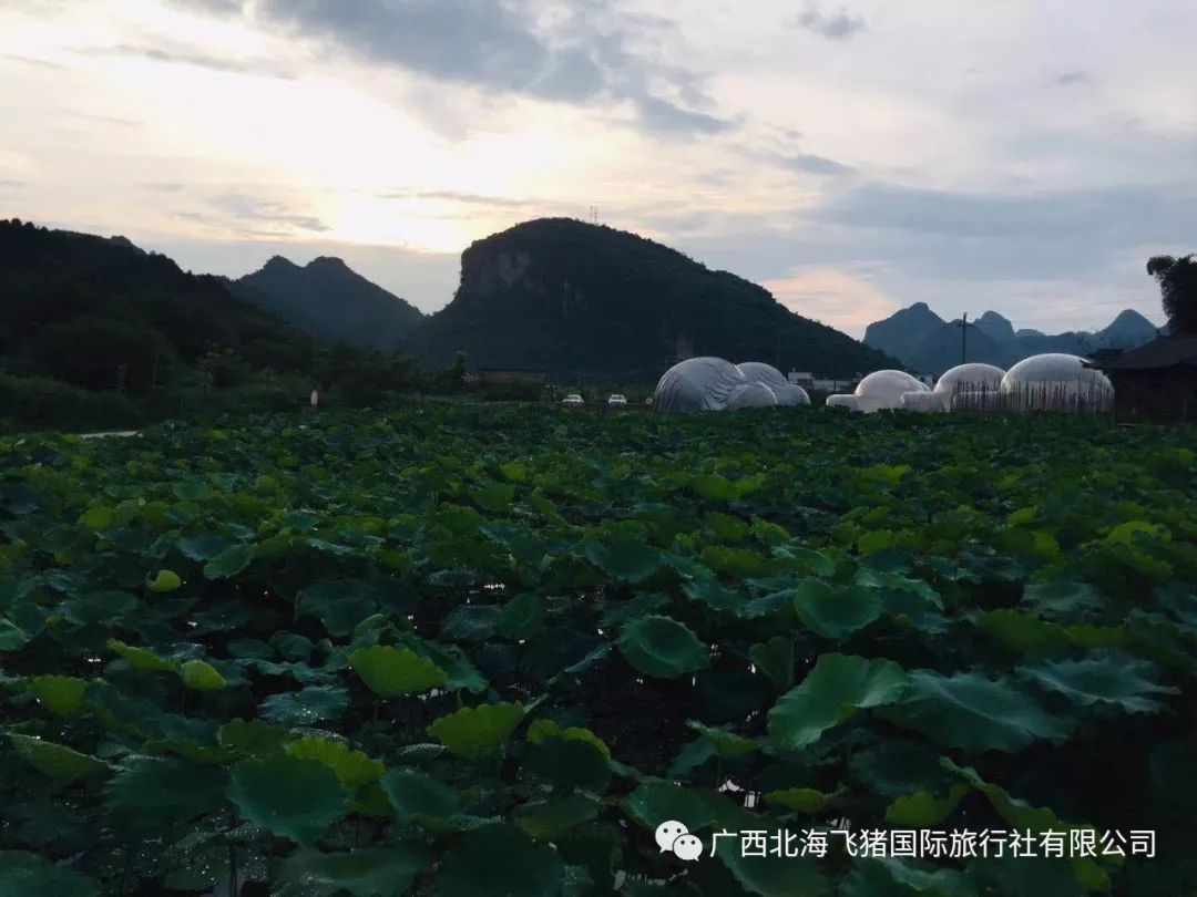 7:40分合浦廉州廣場玻璃屋(飛豬國旅)出發,乘旅遊大巴前往大化瑤族