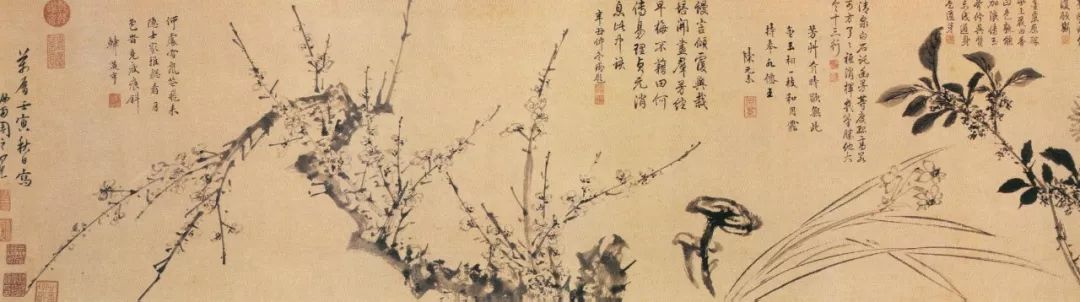 周之冕：写意花鸟，传神写照_百花