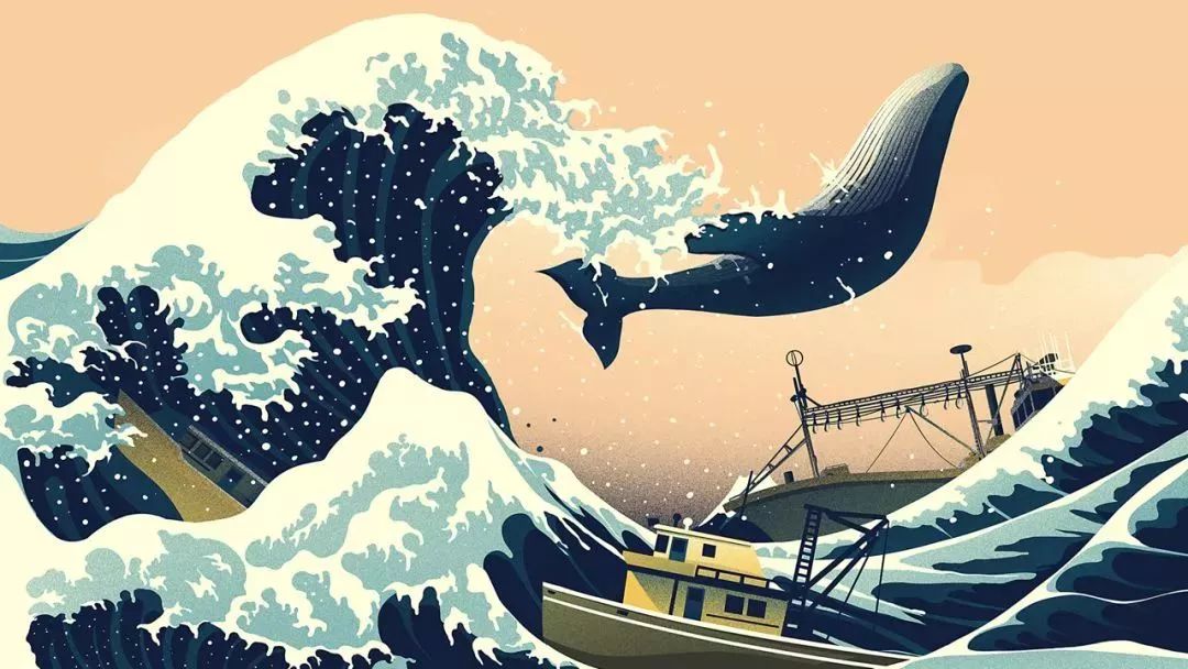 时隔31年,日本正式退出国际捕鲸委员会,重启商业捕鲸活动