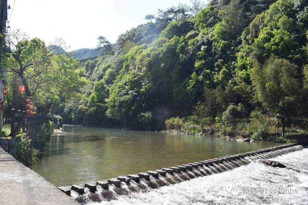 問渠那得清如許五水共治活水來