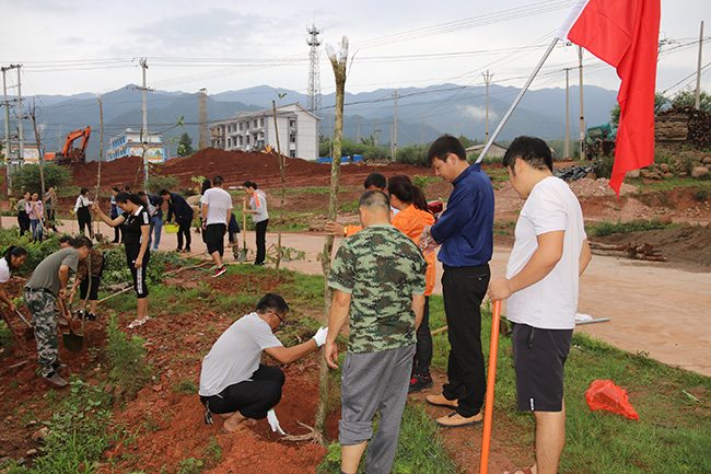 秀山村,黃梨村,臺頭村等組織黨員打掃公共環境衛生的同時組織部分黨員