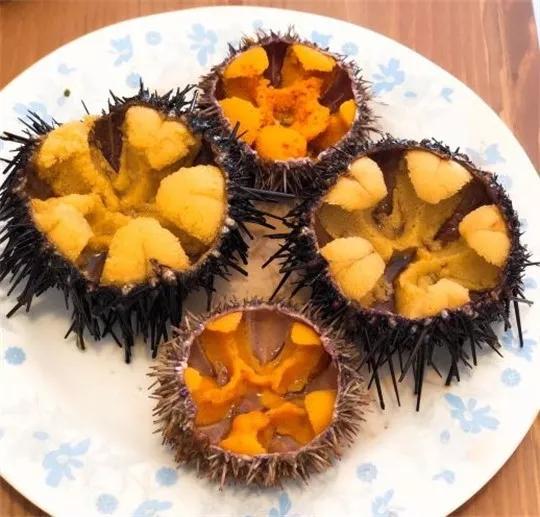 吃在大连吃海胆的专门小店蒸煮烤焗各种吃法