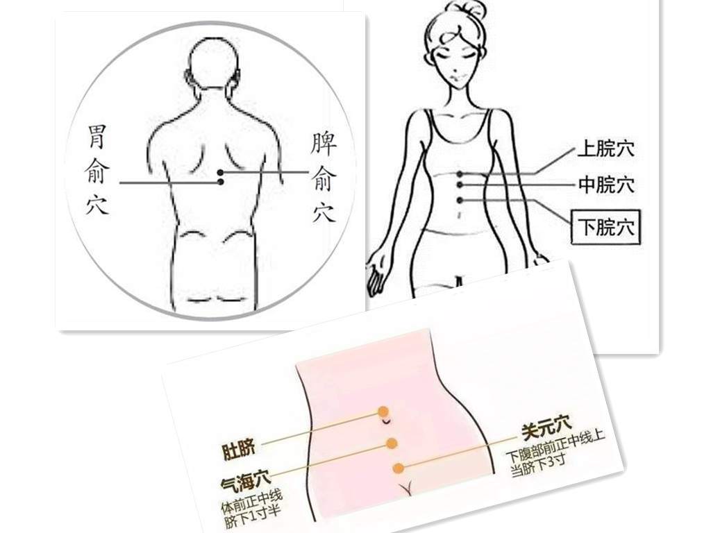 通肾通背通胃位置图图片