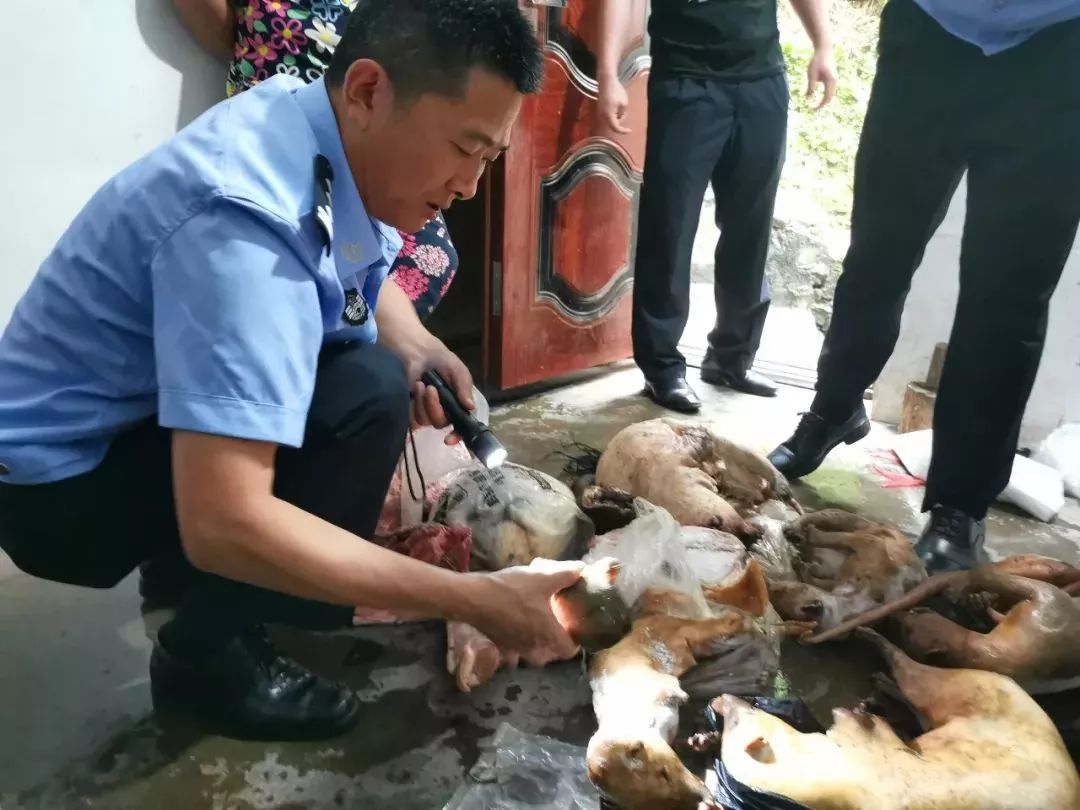 查獲了上述野生動物民警在王某某的冰櫃中在出租屋內隨即,民警趕往