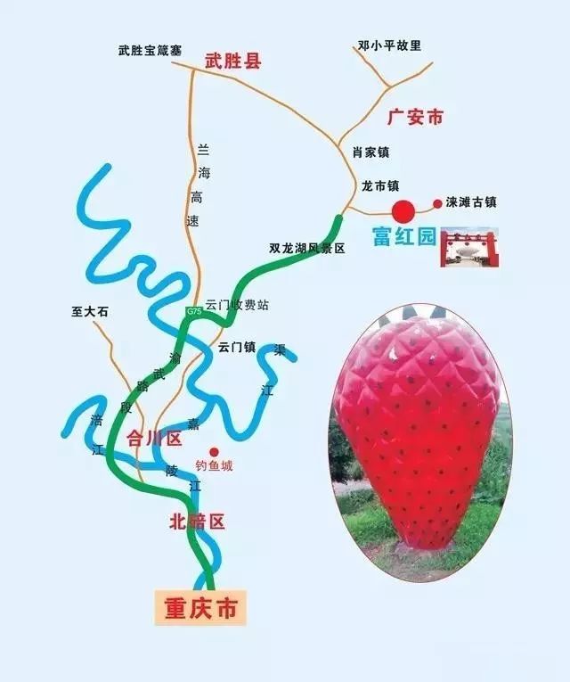 免费尝!合川涞滩富红生态园葡萄即日起开摘!