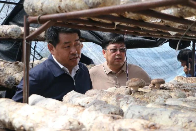 臧著强一行在库都尔林业局党委书记董晓彬,森林公安局局长史晓兵等