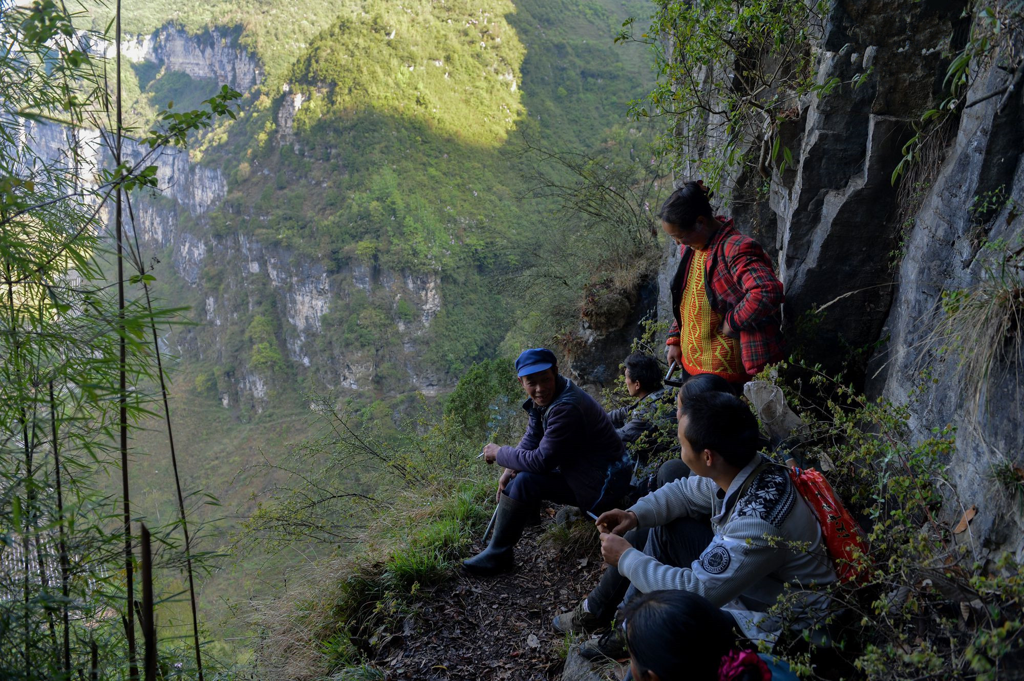 直击野生燕窝的采摘全程村民冒性命风险跋山涉水才有可能采得到