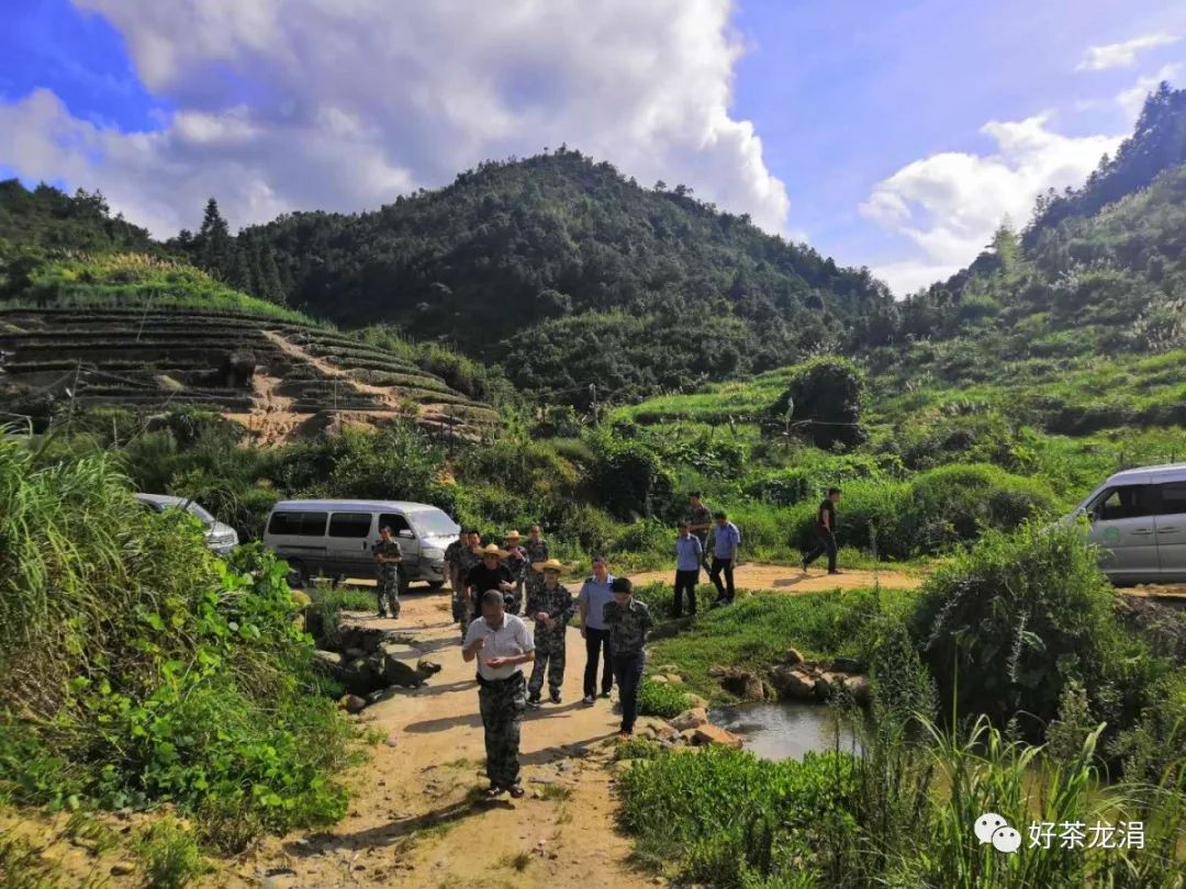 环境治理龙涓乡在行动
