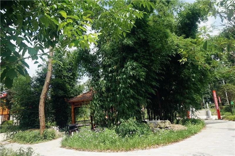 乐意山庄所有房源均属于三意康养五星级标准,2300一个月/人包吃包住