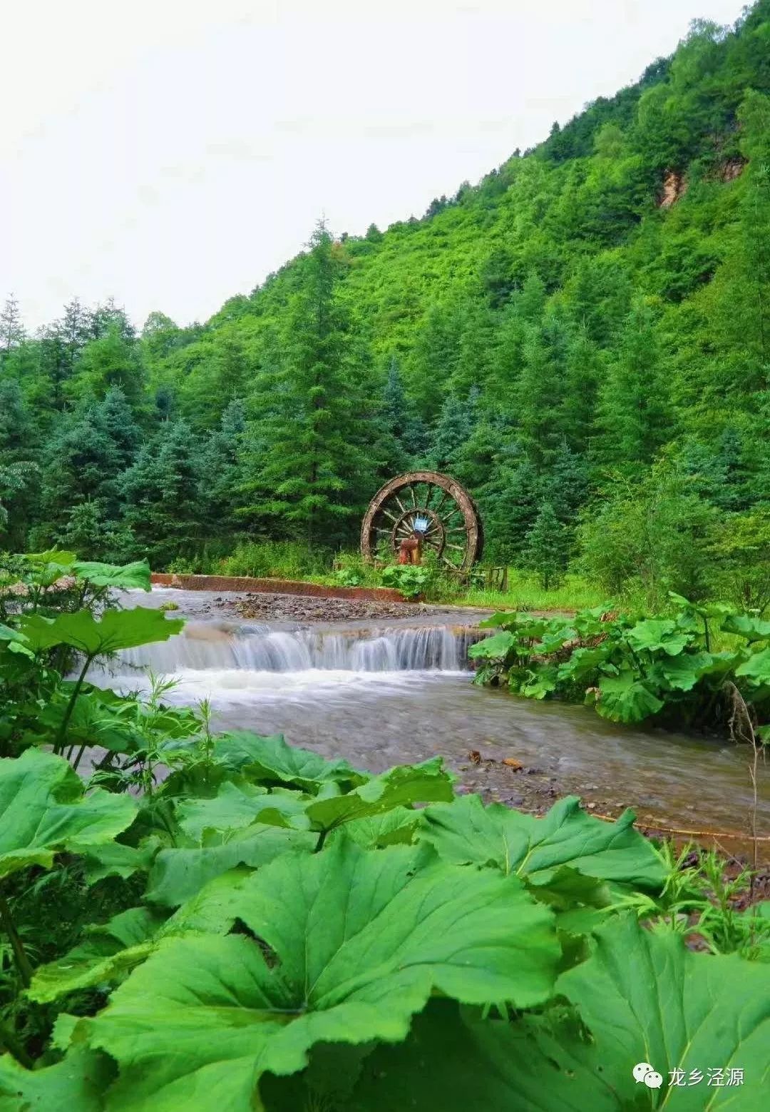 【乡土文学】野荷谷之春(连载)