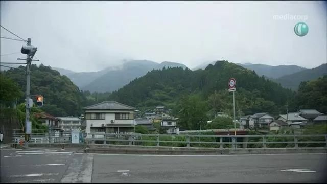 上海垃圾分類搞得雞飛狗走，做了30年垃圾分類的日本人笑而不語 旅遊 第5張